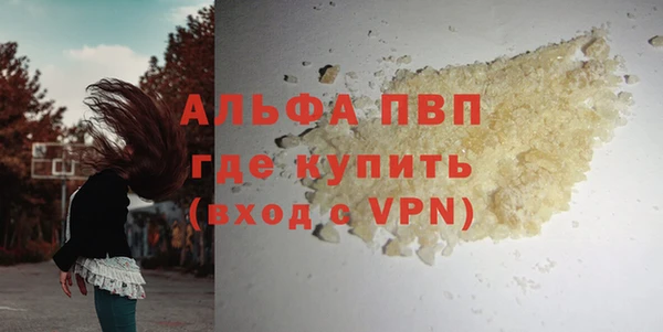 дживик Пересвет