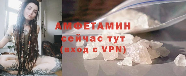 дмт Осташков