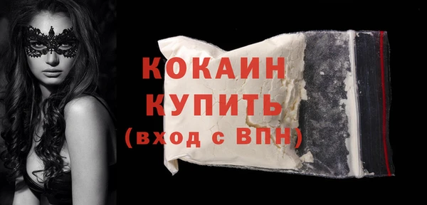 дживик Пересвет