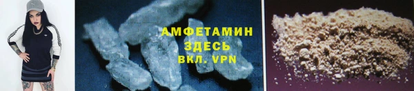 индика Пестово