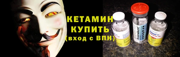 индика Пестово
