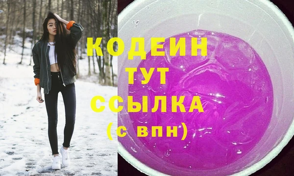 индика Пестово