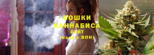индика Пестово