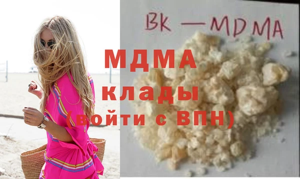 индика Пестово