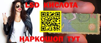 дмт Гай