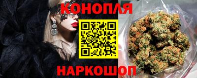 дмт Гай