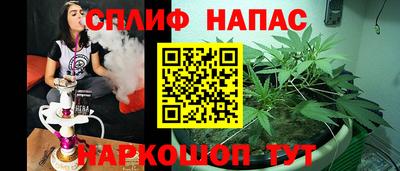 индика Гагарин