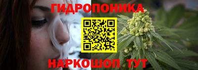 дмт Гай