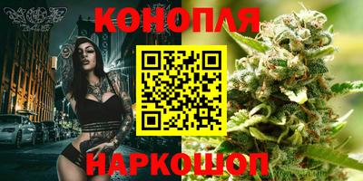 индика Гагарин