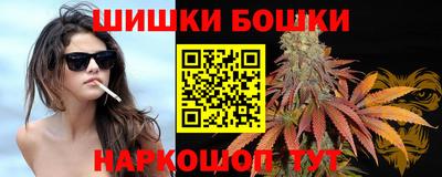 дмт Гай