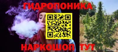 прущие крисы Абакан
