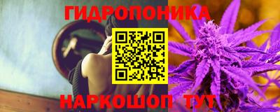 mix Гатчина