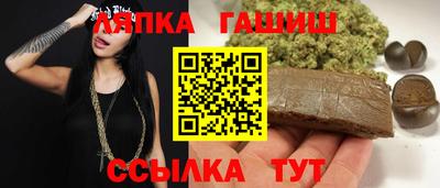 дмт Гай