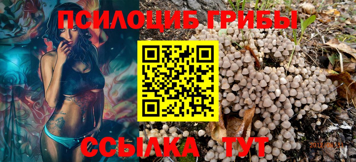Псилоцибиновые грибы Psilocybine cubensis Амурск
